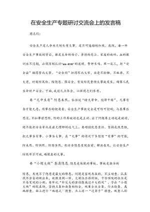 在安全生产专题研讨交流会上的发言稿.docx