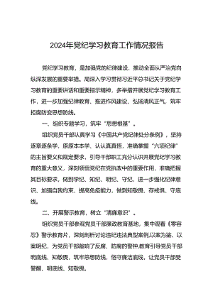 2024年党支部党纪学习教育阶段总结汇报材料(10篇).docx