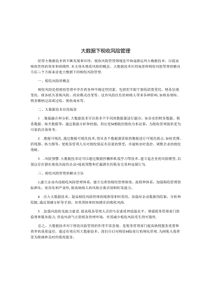 大数据下税收风险管理.docx