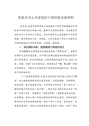 某某市关心关爱基层干部经验交流材料.docx