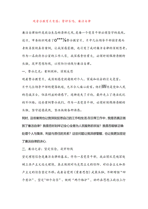 观警示教育片有感：警钟长鸣廉洁自律.docx