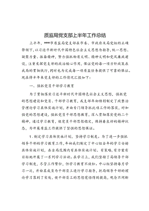 质监局党支部上半年工作总结.docx