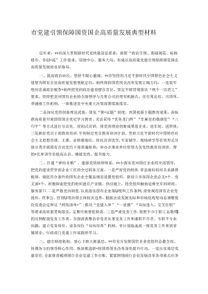 市党建引领保障国资国企高质量发展典型材料.docx