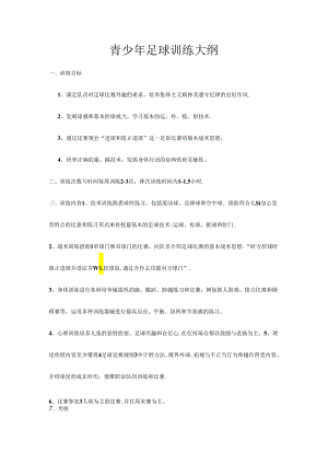 青少年足球训练详细计划.docx