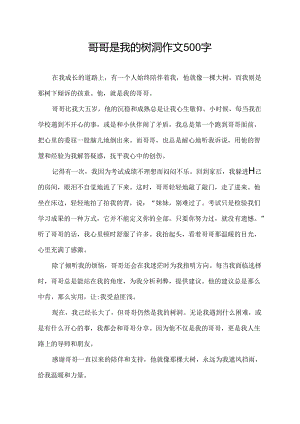 哥哥是我的树洞作文500字.docx