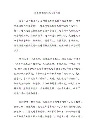 巡察组锻炼实践心得体会.docx