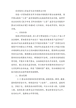 农村集体三资监管突出问题整治方案.docx