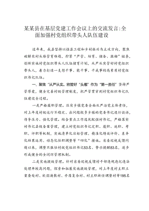 某某县在基层党建工作会议上的交流发言：全面加强村党组织带头人队伍建设.docx