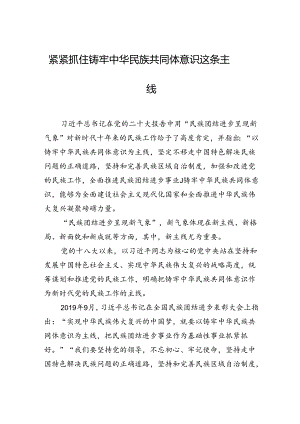 紧紧抓住铸牢中华民族共同体意识这条主线.docx