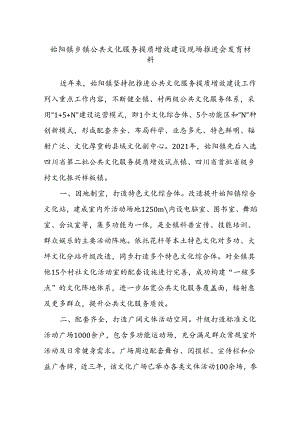 始阳镇乡镇公共文化服务提质增效建设现场推进会发言材料.docx