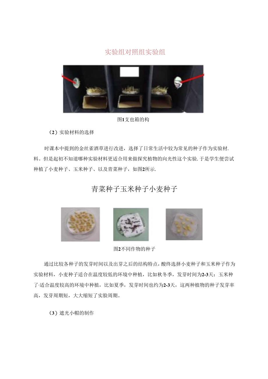 “探究植物的向光性”实验教学探讨 论文.docx_第3页