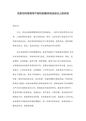 在新任科级领导干部任前集体谈话会议上的讲话.docx