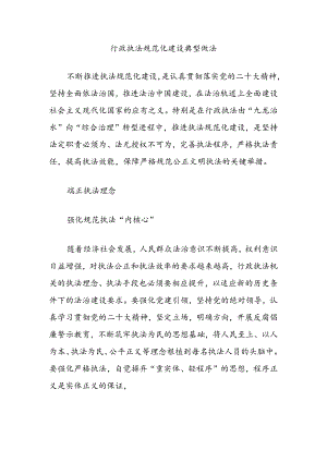 行政执法规范化建设典型做法.docx