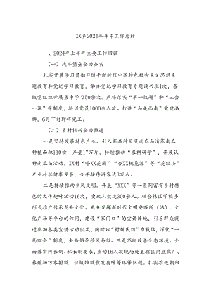 XX乡2024年年中工作总结.docx