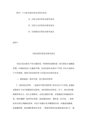 2024安徽当前水稻、玉米、大豆、棉花田管技术指导意见.docx