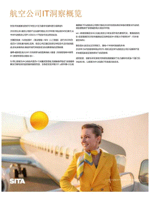 2023年航空运输业IT洞察报告-42页.docx