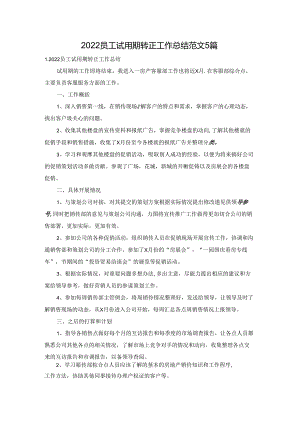 2022员工试用期转正工作总结范文5篇.docx