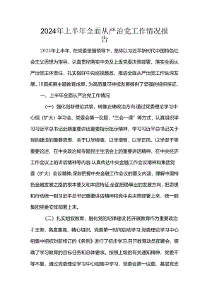 2024年上半年全面从严治党工作情况报告.docx