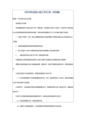 2024年压疮小组工作计划（共6篇）.docx