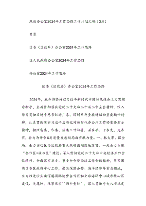 (3篇)政府办公室2024年工作思路工作计划汇编.docx