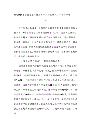 X镇2024年宣传思想工作上半年工作总结及下半年工作计划.docx