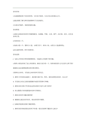 大班科学《种子的小秘密》PPT课件教案参考教案.docx