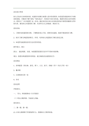 小班科学《认识蔬菜》PPT课件教案参考教案.docx