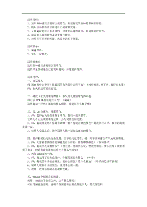 中班《天的菊花》PPT课件教案参考教案.docx