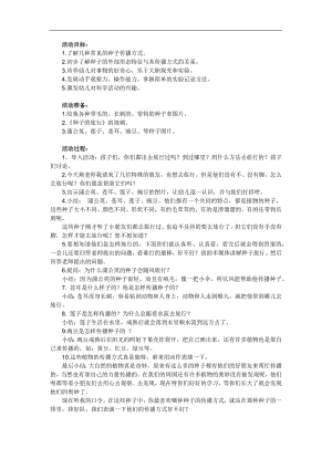 大班科学活动《种子去旅行》PPT课件教案参考教案.docx