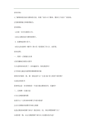 大班科学《亮眼大搜索》PPT课件教案参考教案.docx