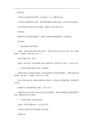 中班科学《各种各样的绳子》PPT课件教案参考教案.docx