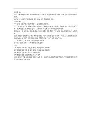 幼儿园安全《保护我们的大眼睛》PPT课件教案参考教案.docx