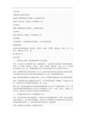 大班科学活动《沉与浮》PPT课件教案参考教案.docx