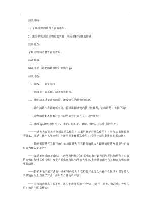 中班科学《动物的妙妙脸》PPT课件教案参考教案.docx