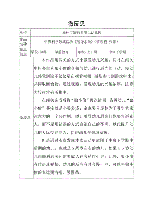 中班科学《智夺水果》PPT课件教案微反思.docx
