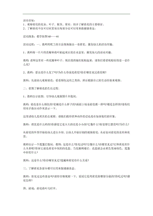 中班科学《荷花》PPT课件教案参考教案.docx