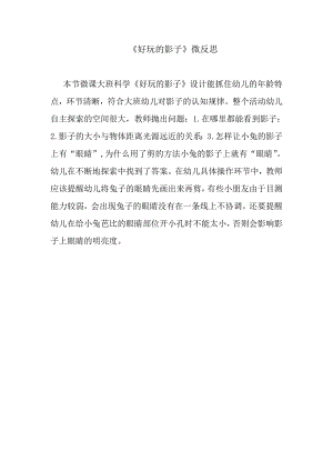 大班科学《好玩的影子》PPT课件教案微反思.doc