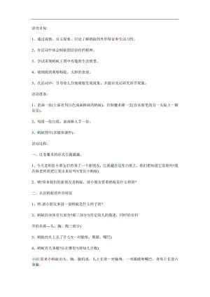 大班科学《蚂蚁》PPT课件教案参考教案.docx