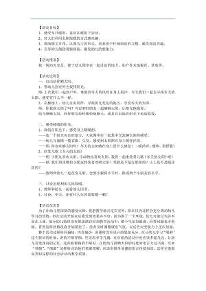大班语言《冬天的太阳》PPT课件教案参考教案.docx