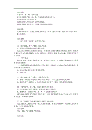 小班健康《我的小脸蛋》PPT课件教案参考教案.docx