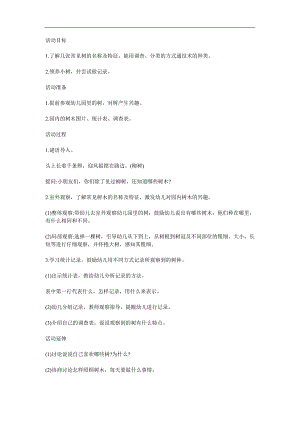 中班科学《我们身边常见的树》PPT课件教案参考教案.docx