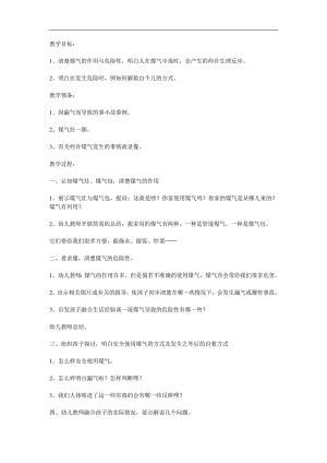 大班《煤气与安全》PPT课件教案参考教案.docx