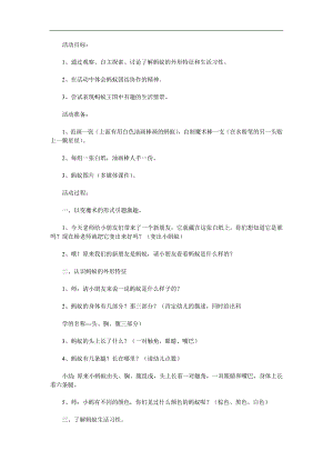 大班科学活动《认识蚂蚁》PPT课件教案视频音乐参考教案.docx