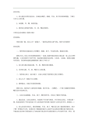 小班健康《我的小脸》PPT课件教案参考教案.docx