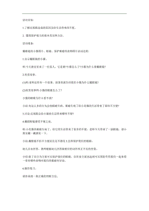 大班健康《他为什么看不清》PPT课件教案参考教案.docx