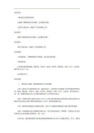 大班科学《沉与浮》PPT课件教案参考教案.docx