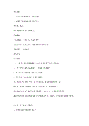 大班综合《鼻子的故事》PPT课件教案参考教案.docx