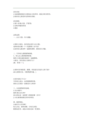 大班科学《奇妙的根》PPT课件教案参考教案.docx