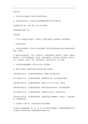 幼儿园《各种各样的蔬菜》PPT课件教案参考教案.docx