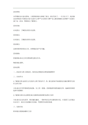 中班科学优质课《种蚕豆》PPT课件教案参考教案.docx